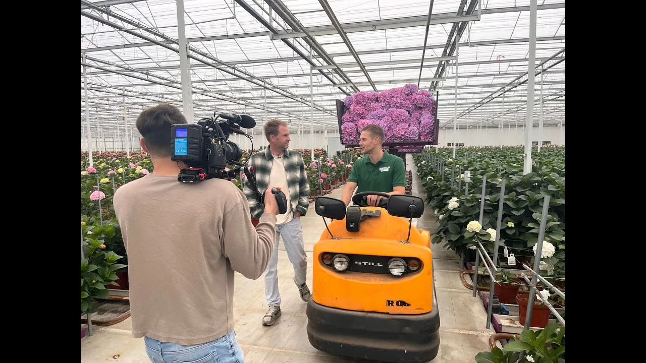 RTL 4 over het Varend Corso met Pico Bello Hortensia RTL 4 over het Varend Corso met Pico Bello Hortensia